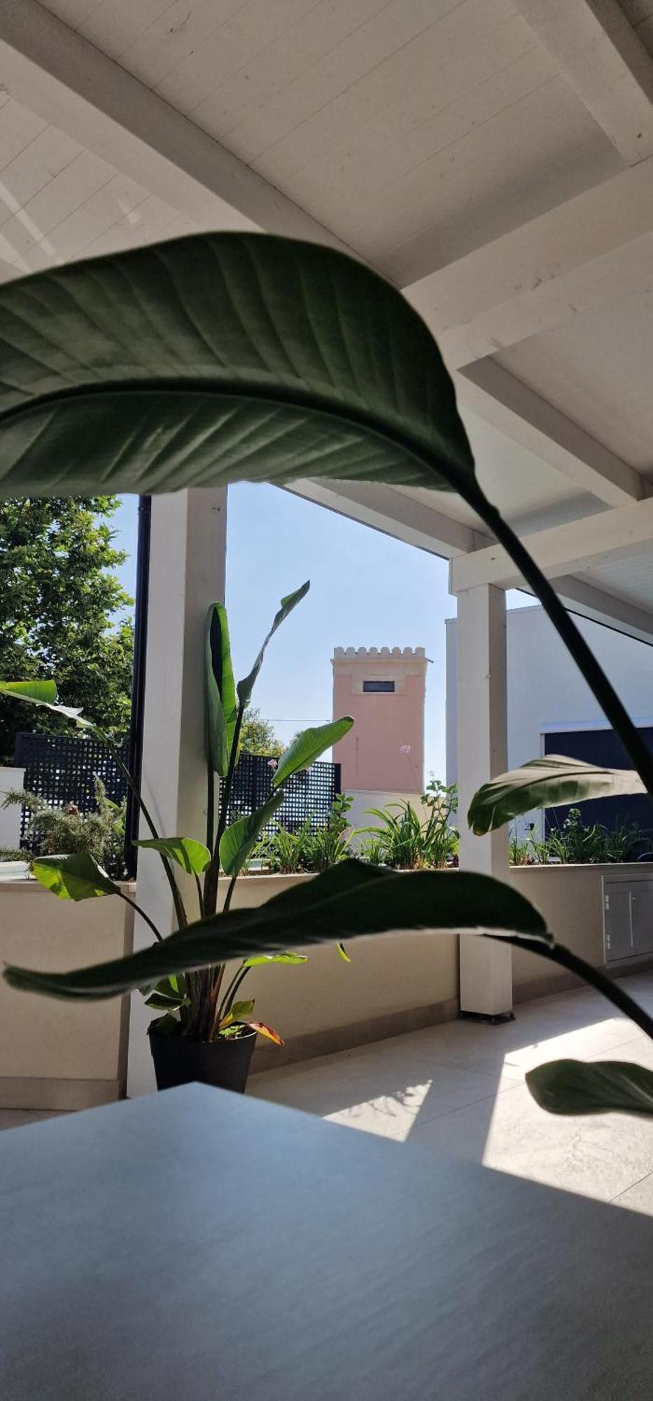 Thalassa Rooms Avola Zewnętrze zdjęcie
